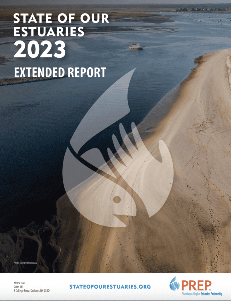 Extended Report cover.